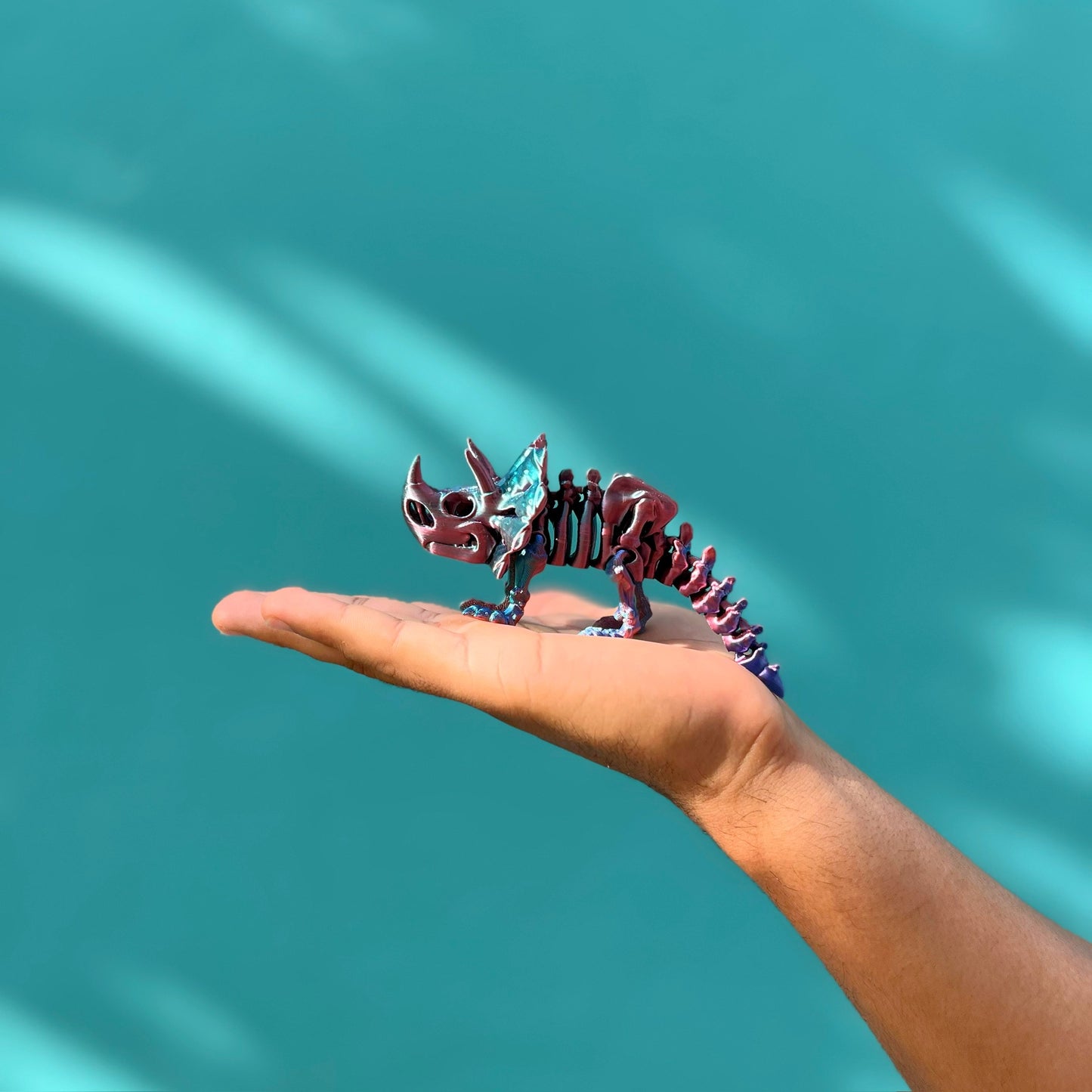 PAQUETE DE MINI 5
