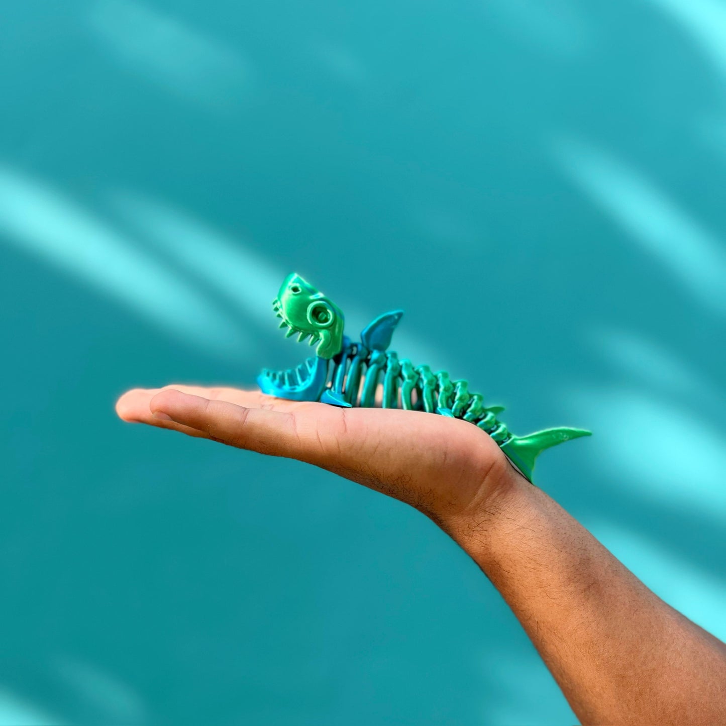 PAQUETE DE MINI 5