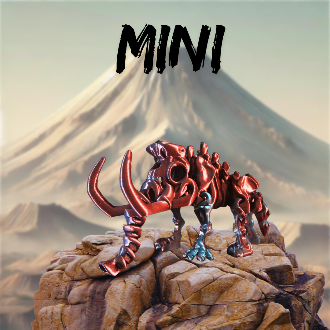 PAQUETE DE MINI 5