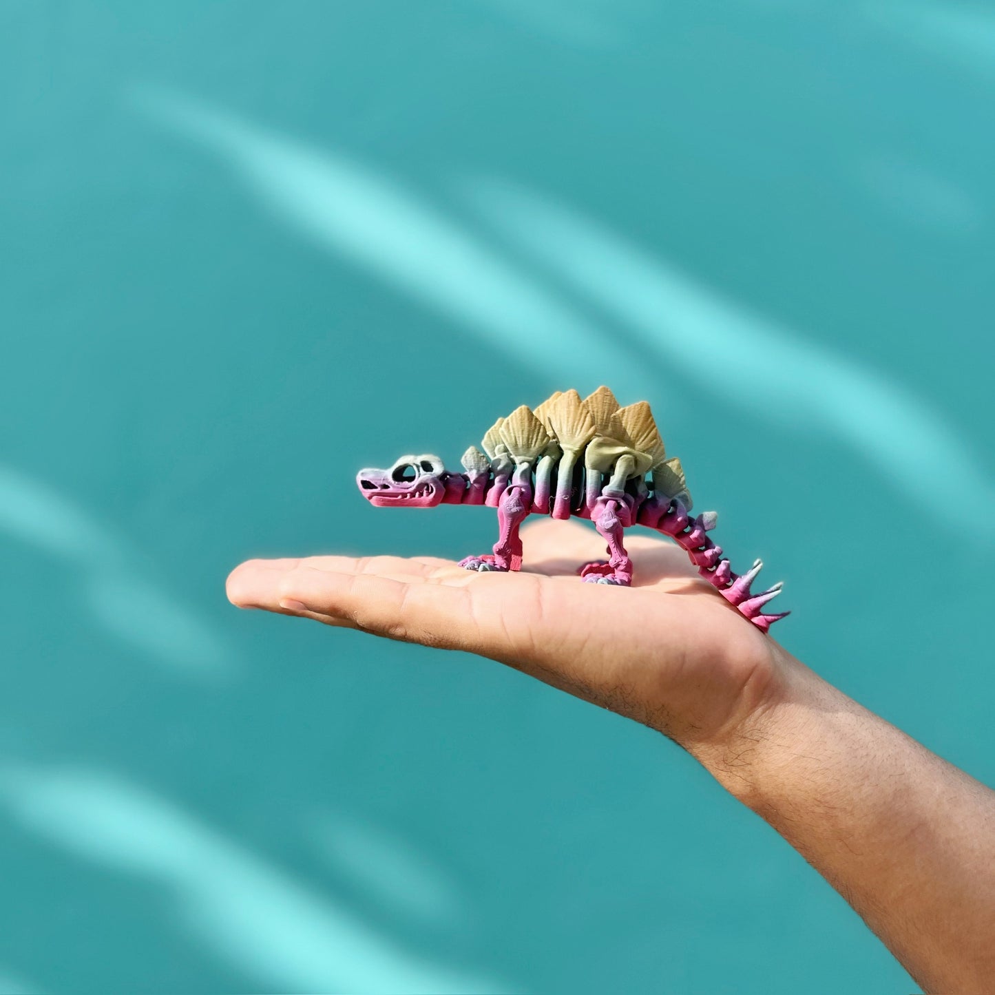 PAQUETE DE MINI 5
