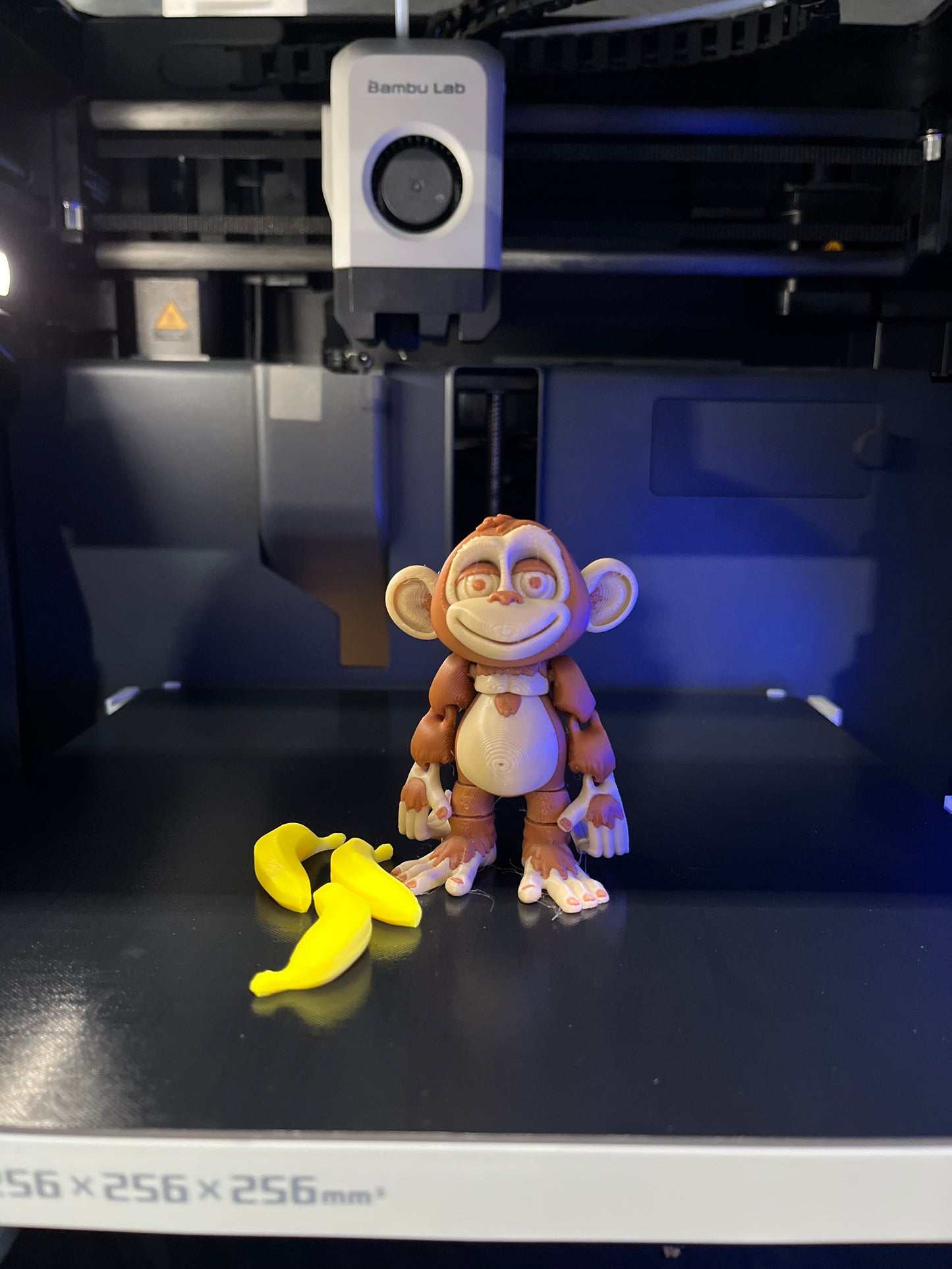 Monito