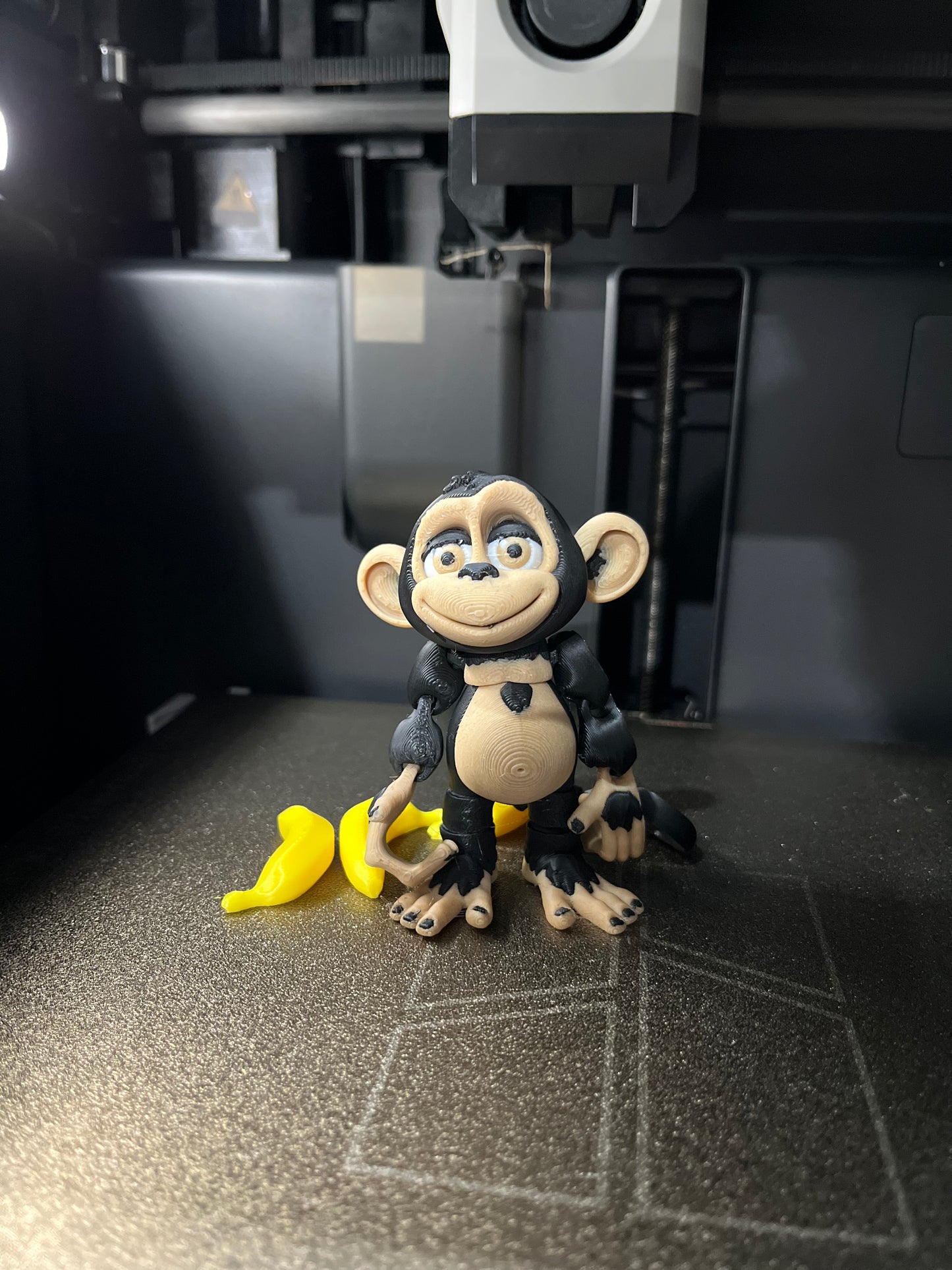Monito