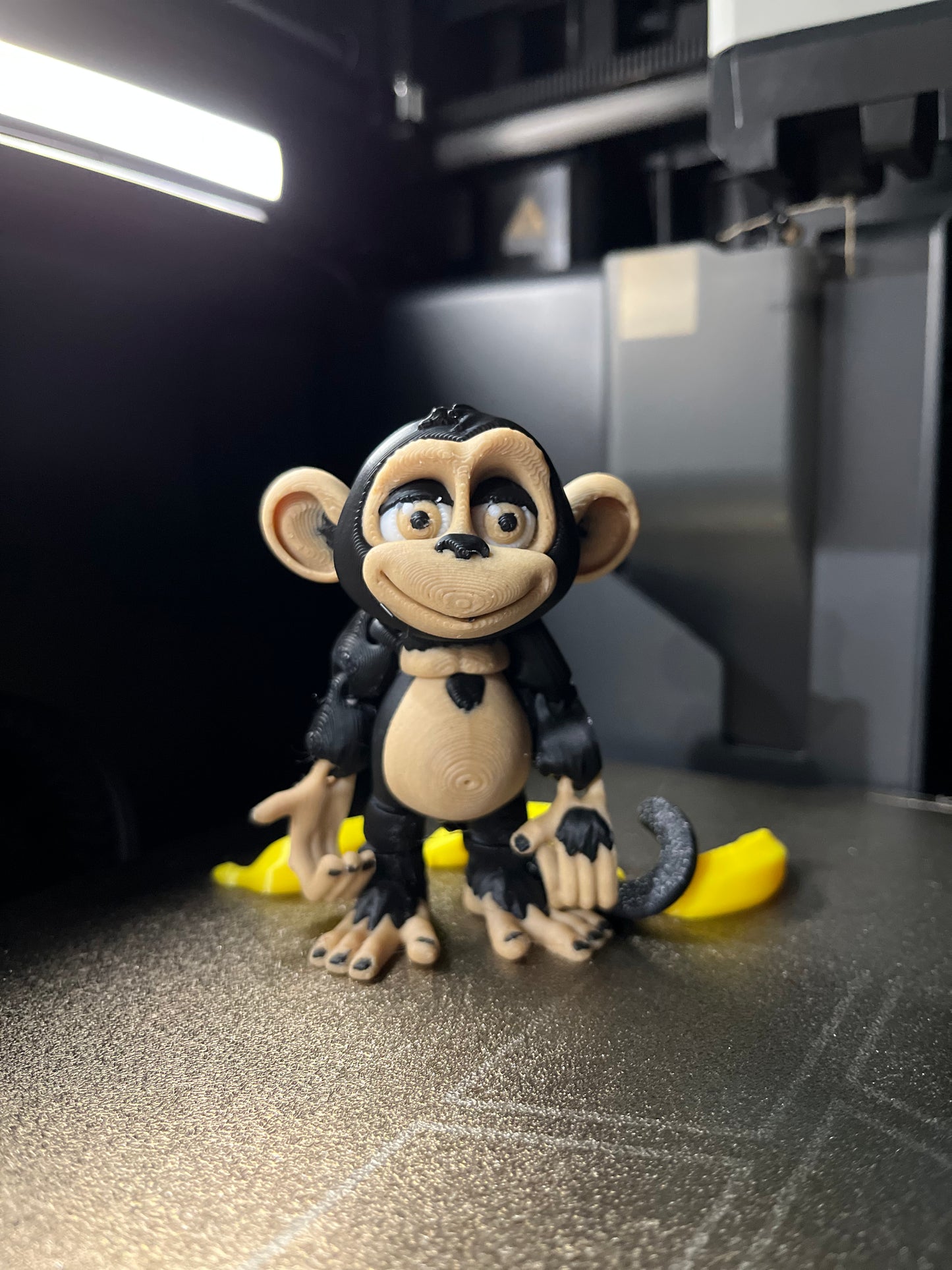 Monito
