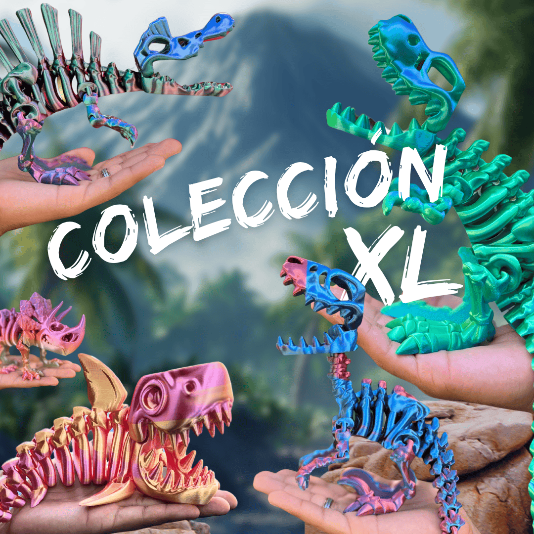 PAQUETE 9 XL