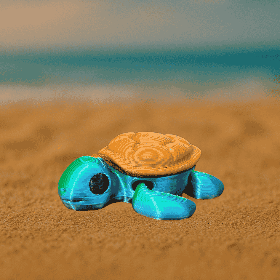 Baby Tortu
