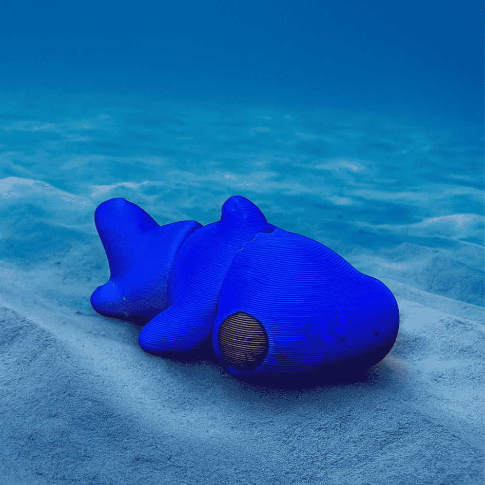 Baby Tiburon Martillo