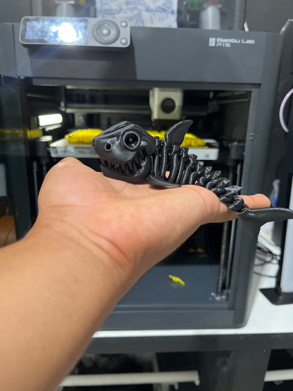MINI MEGALODONTE