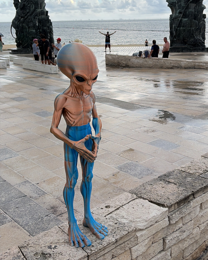 Alien