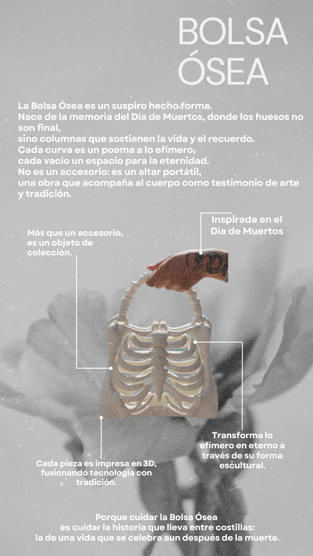Bolsa Ósea