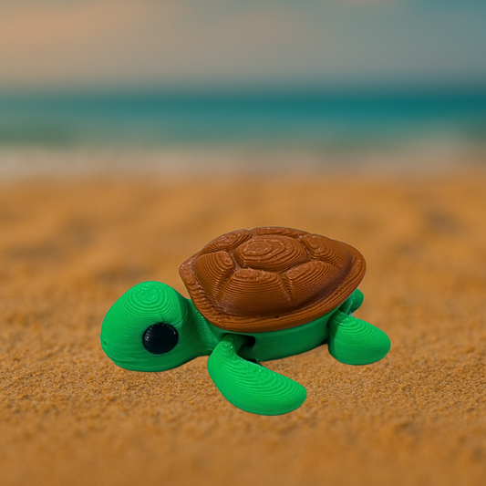 Baby Tortu