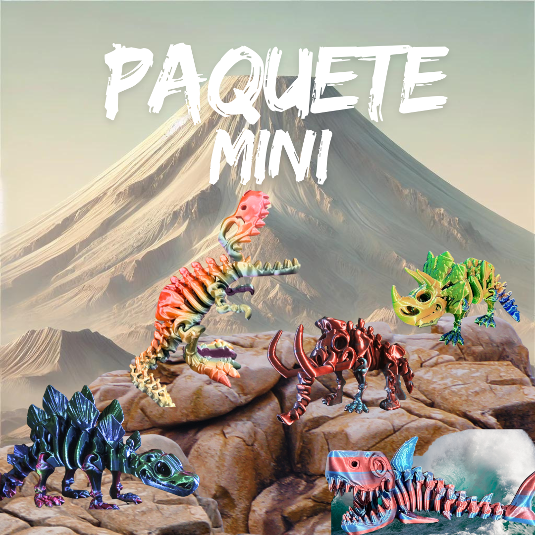 PAQUETE DE MINI 5