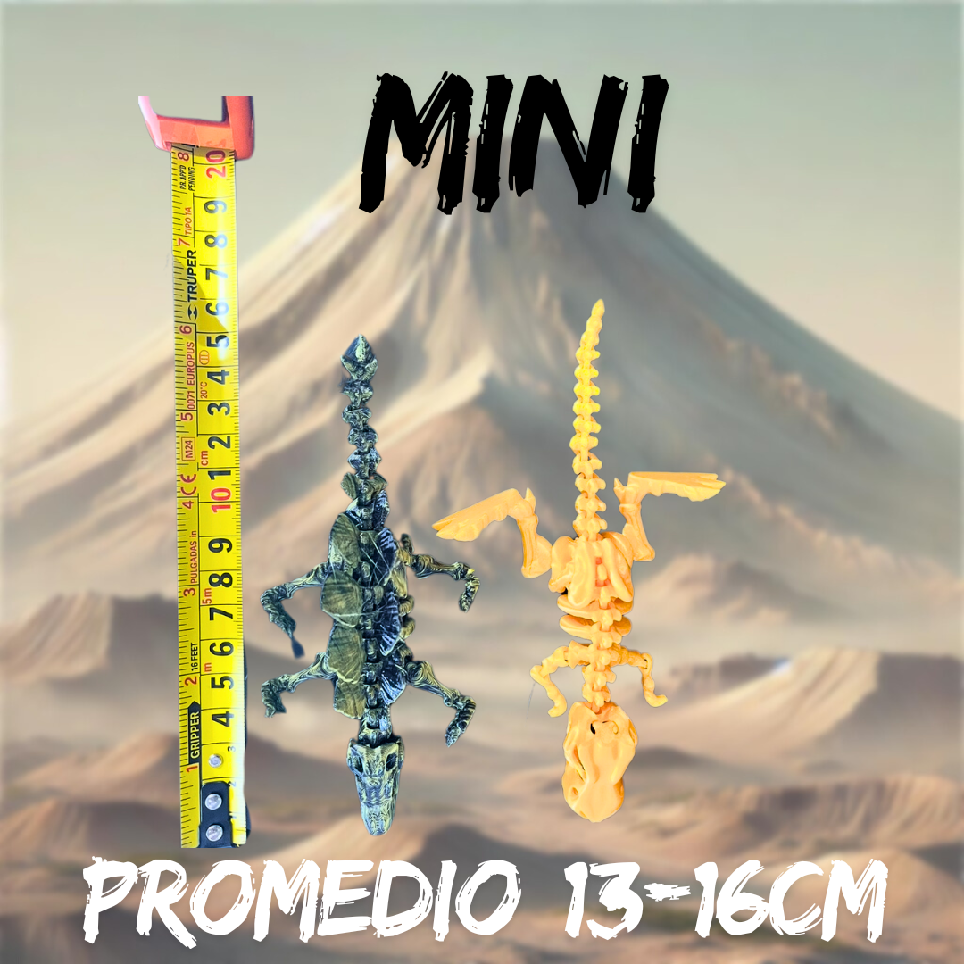 PAQUETE DE MINI 5