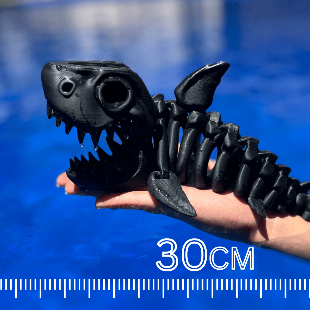 MEGALODON